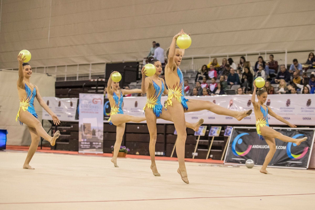 El Circuito Andaluz de gimnasia rítmica para la categoría de promesas se está celebrando en el Palacio de los Deportes. Más de dos mil niñas de toda la comunidad autónoma están poniendo sobre el tapiz todo lo aprendido y ensayado a lo largo del curso. 