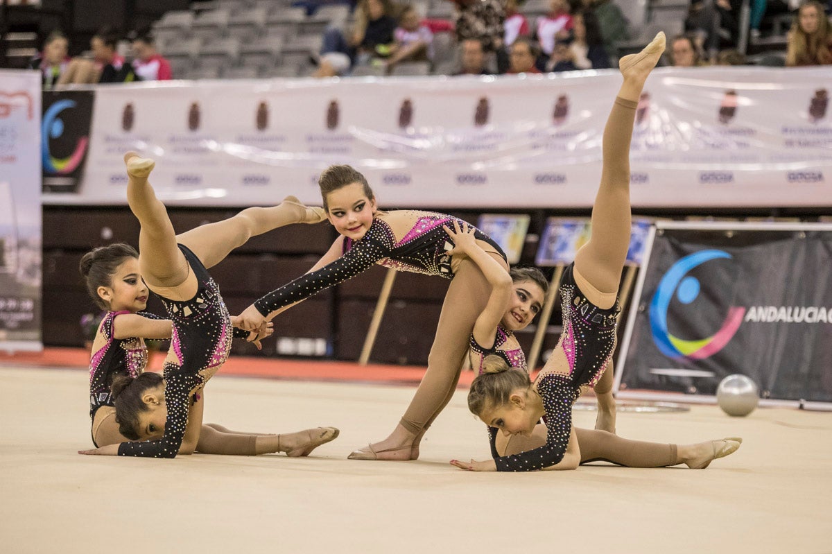 El Circuito Andaluz de gimnasia rítmica para la categoría de promesas se está celebrando en el Palacio de los Deportes. Más de dos mil niñas de toda la comunidad autónoma están poniendo sobre el tapiz todo lo aprendido y ensayado a lo largo del curso. 