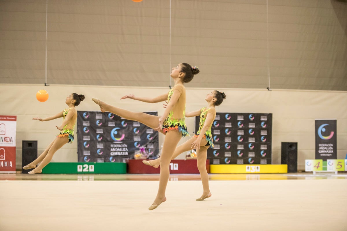 El Circuito Andaluz de gimnasia rítmica para la categoría de promesas se está celebrando en el Palacio de los Deportes. Más de dos mil niñas de toda la comunidad autónoma están poniendo sobre el tapiz todo lo aprendido y ensayado a lo largo del curso. 
