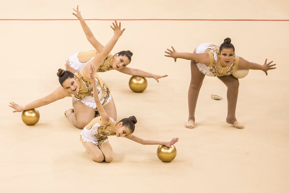 El Circuito Andaluz de gimnasia rítmica para la categoría de promesas se está celebrando en el Palacio de los Deportes. Más de dos mil niñas de toda la comunidad autónoma están poniendo sobre el tapiz todo lo aprendido y ensayado a lo largo del curso. 