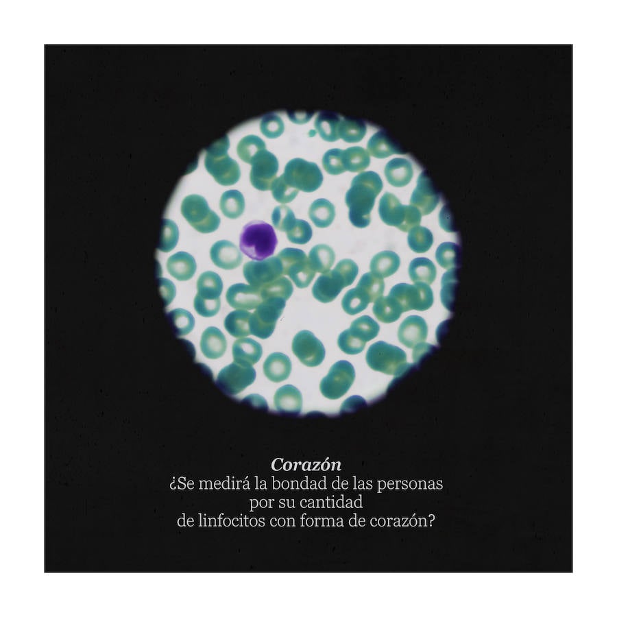 Una analista clínica y fotógrafa granadina recrea el impresionante universo de las muestras de laboratorio.  Lee el reportaje aquí