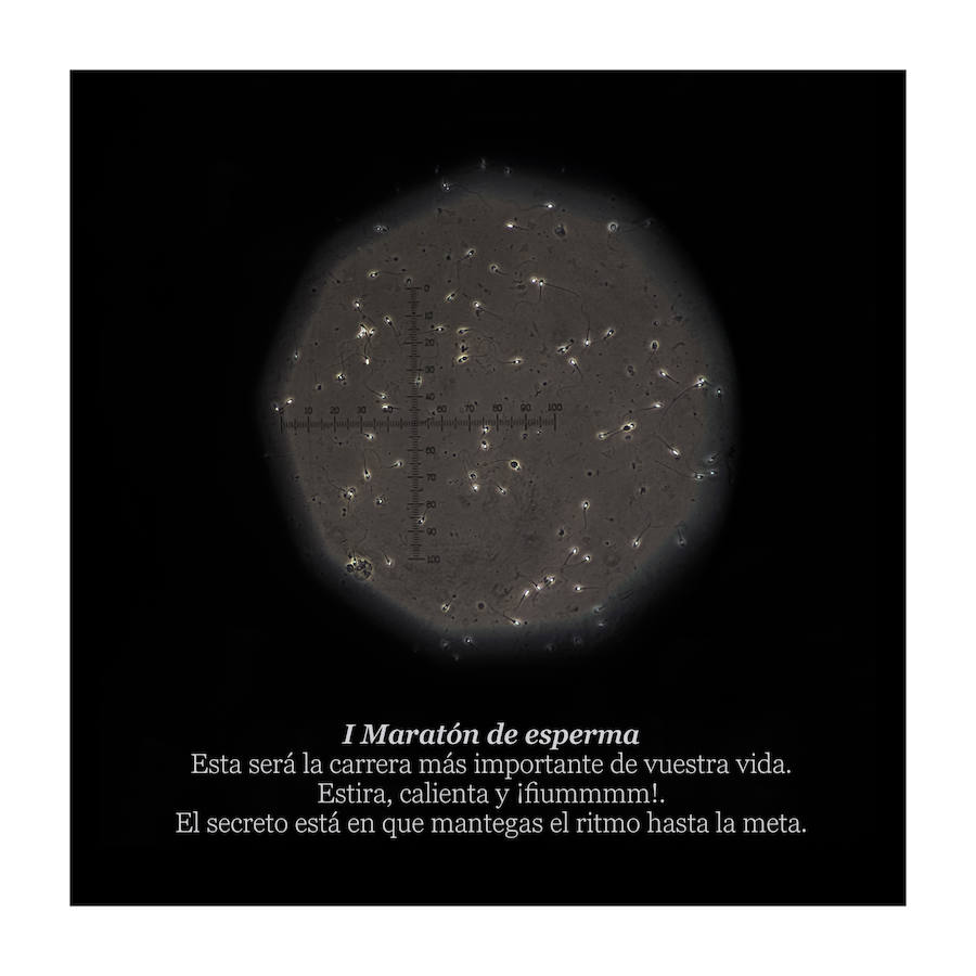 Una analista clínica y fotógrafa granadina recrea el impresionante universo de las muestras de laboratorio.  Lee el reportaje aquí