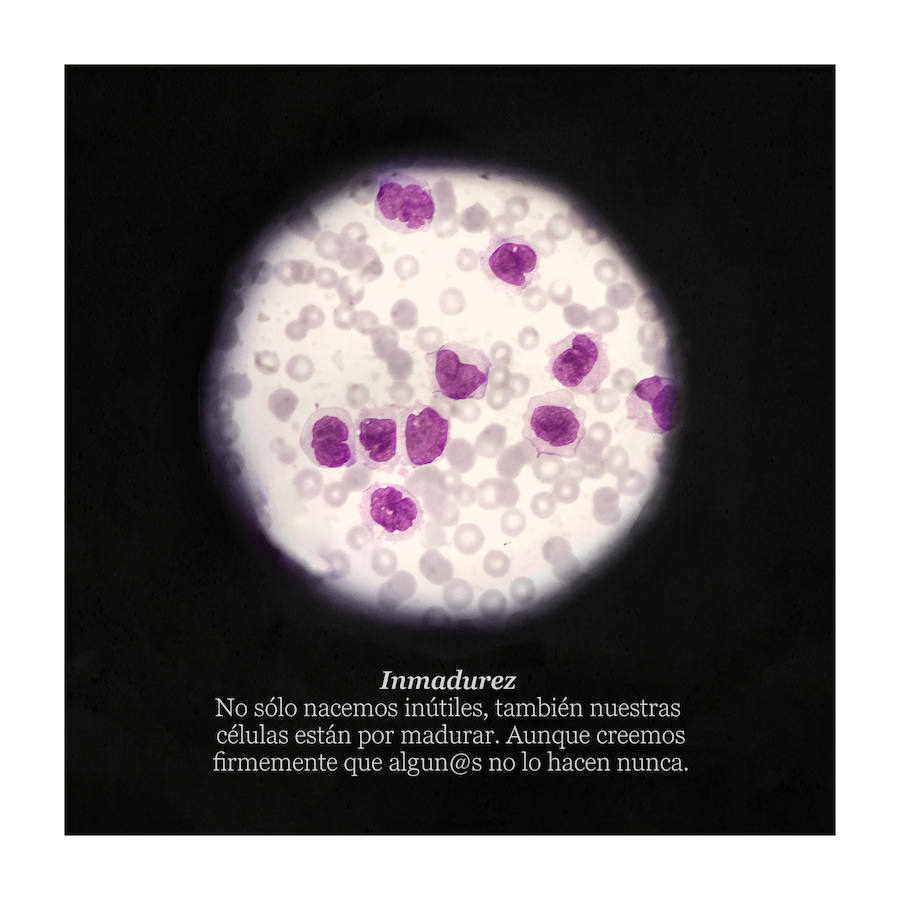 Una analista clínica y fotógrafa granadina recrea el impresionante universo de las muestras de laboratorio.  Lee el reportaje aquí