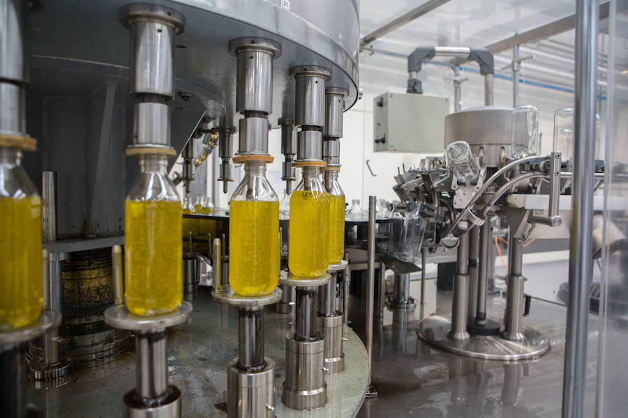 Se rompe la tendencia y sube el precio del aceite de oliva en Jaén y en España