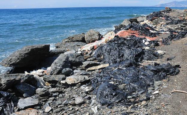 Plásticos de invernadero abandonados en la primera línea de playa del municipio de Albuñol, en el lugar ocupado por los invernaderos que fueron desalojados por la D. G. de Costas 