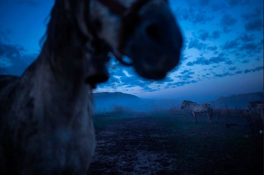 Algunas de las imágenes de Susana Girón sobre la migración del ganado en el altiplano de Granada. Puede  leer el reportaje completo aquí