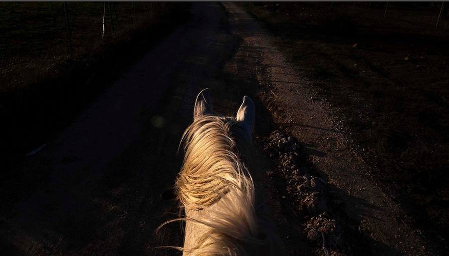Algunas de las imágenes de Susana Girón sobre la migración del ganado en el altiplano de Granada. Puede  leer el reportaje completo aquí