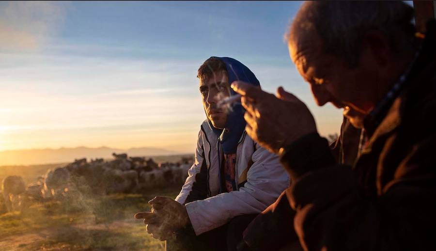 Algunas de las imágenes de Susana Girón sobre la migración del ganado en el altiplano de Granada. Puede  leer el reportaje completo aquí