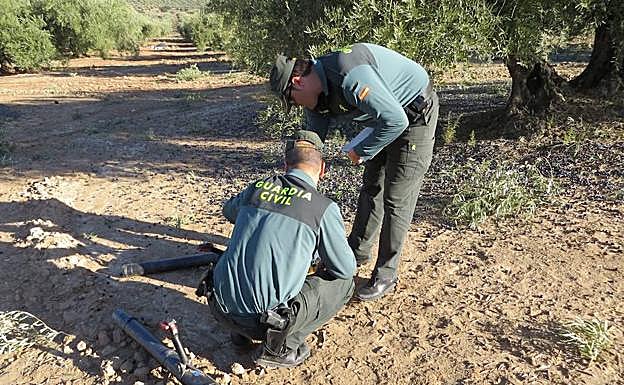Agentes de la Guardia Civil en una investigación anterior en un olivar. 