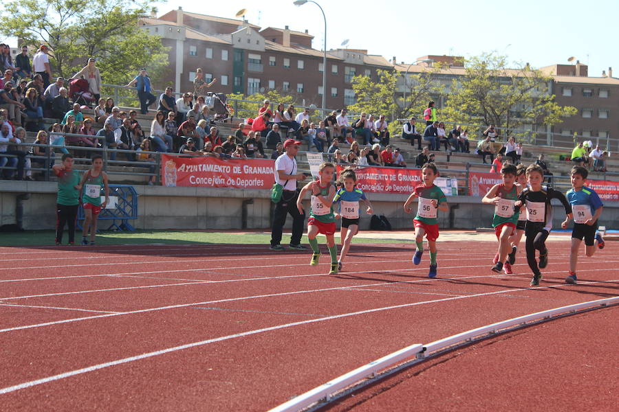 El Núñez Blanca recupera la competición para su renovada pista con la ilusión de los más pequeños y el oficio de sus figuras de élite