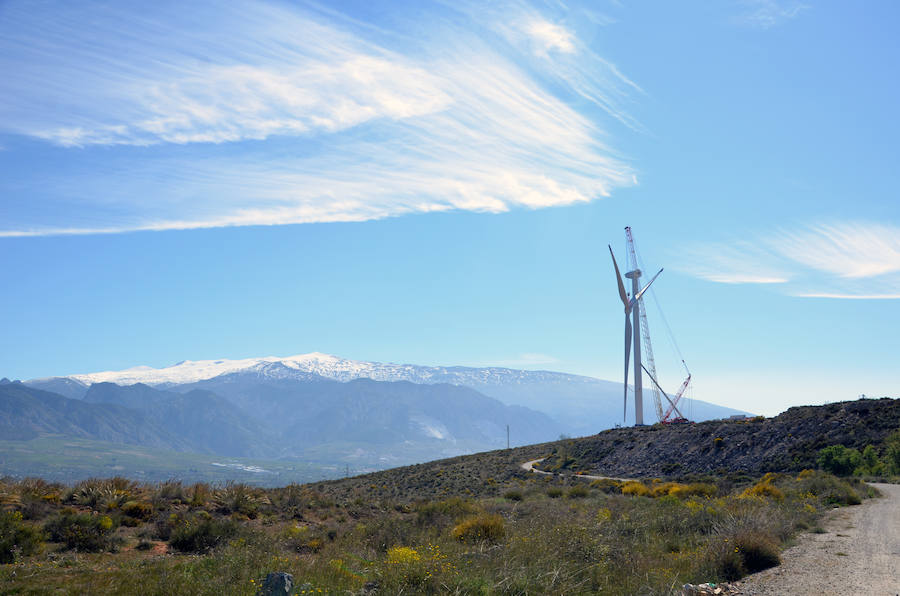 Durante toda una semana la empresa responsable de esta actuación intentó colocar las aspas a este coloso de la energía eólica, un prototipo cuyas palas son hechas en Granada