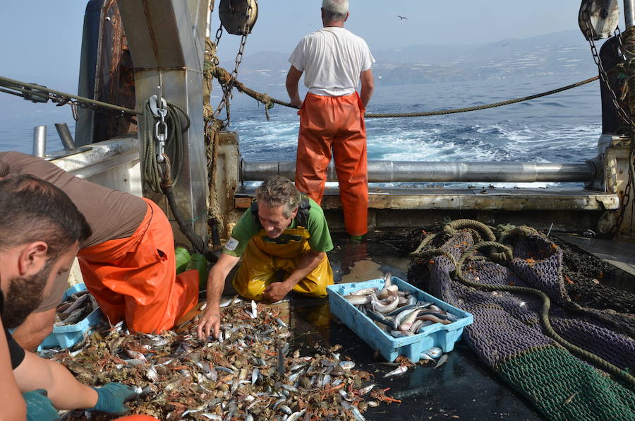 Pescadores seleccionando descartes entre las capturas a bordo. 