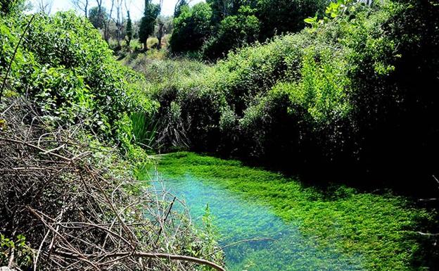 Ruta por el Nacimiento de Riofrío, nuevo Monumento Natural de Andalucía