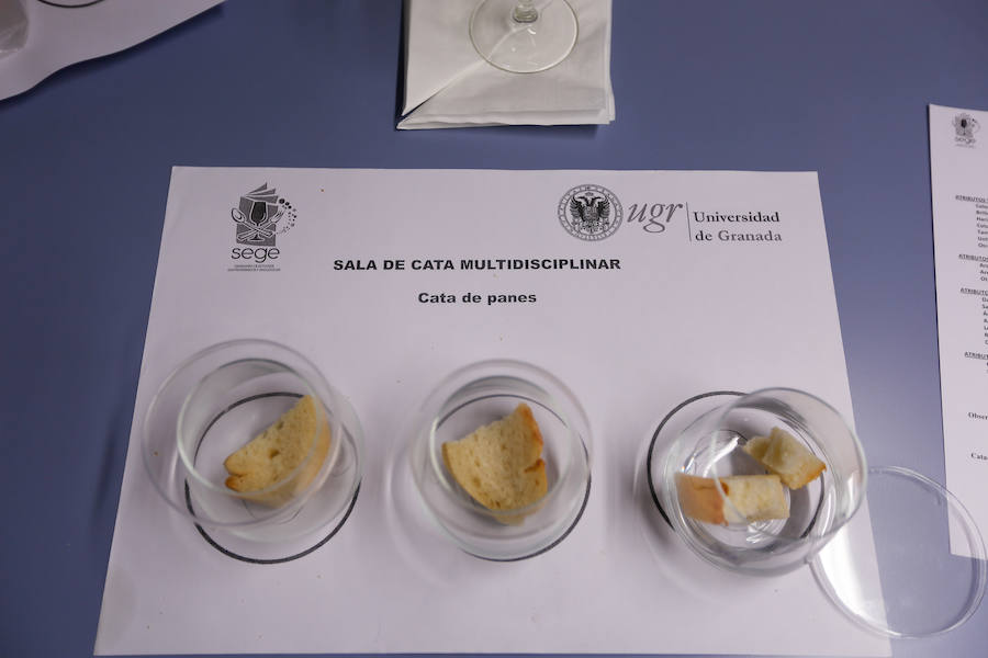 Catadores expertos analizan la calidad de aceites, vinos, frutas y hortalizas, ginebras, pan...  Puedes leer el reportaje completo aquí