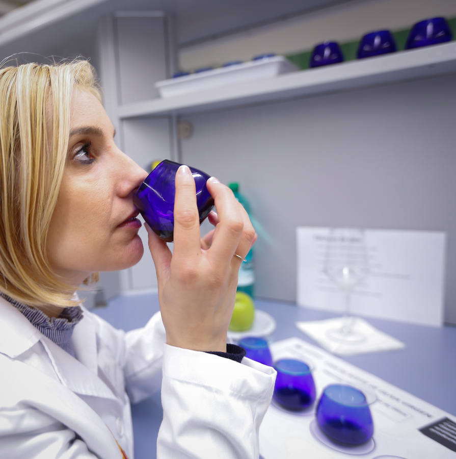 Imagen secundaria 1 - Laura Valverde, en plena cata de aceite