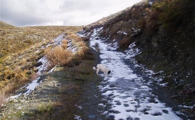 Acequia moruna de Mecina Bombarón.