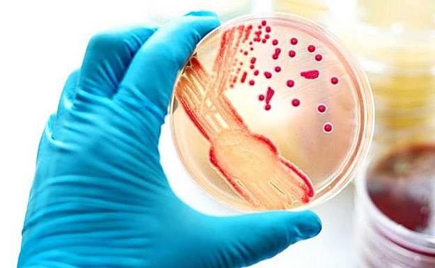 La gonorrea se multiplica en Europa