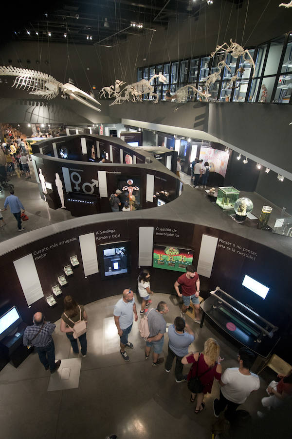 El Parque de las Ciencias de Granada celebró este sábado con una jornada de puertas abiertas su 24 aniversario y la 22 edición de la Feria de la Ciencia