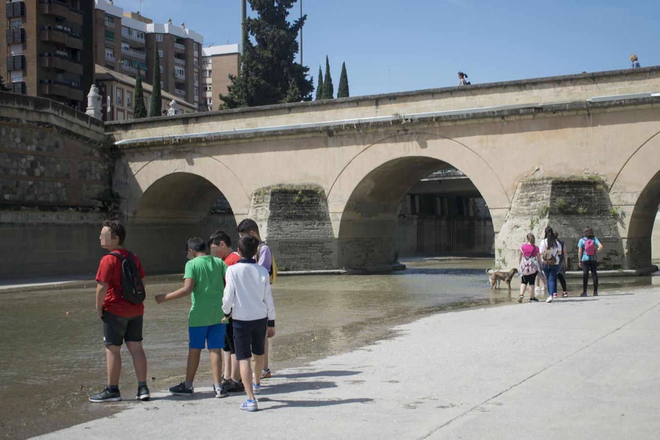 El rio Genil se llena de personas con la llegada del buen tiempo.