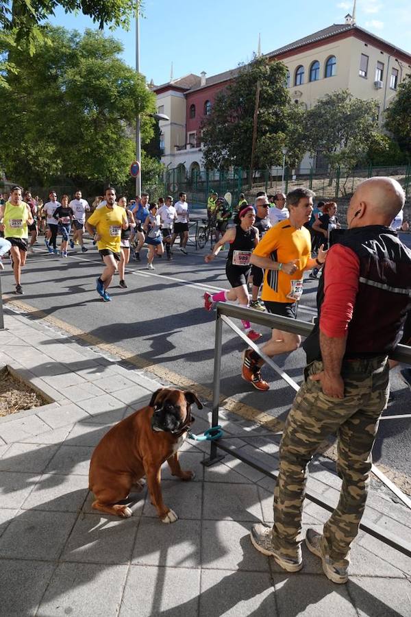 Un total de 13.1 kilómetros, dos menos que la pasada edición, y un desnivel acumulado de 207 metros de auténtica belleza por los barrios del Albaicín y el Sacromonte, dejando la Alhambra a la espalda, sin dejar de recorrer también los espacios más emblemáticos de la capital