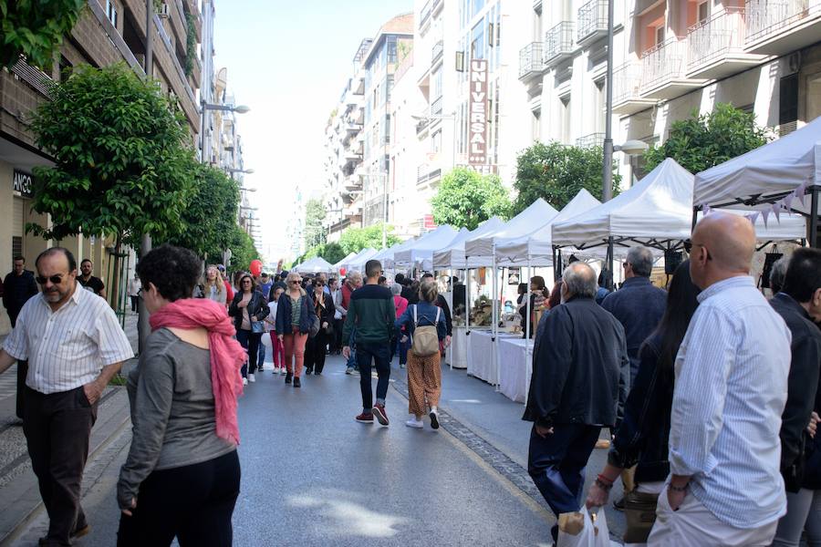 Otra jornada sin tráfico en el centro de la ciudad de Granada y con múltiples actividades para niños y mayores