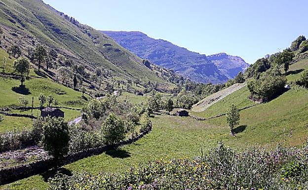Valles pasiegos, verdor infinito en el interior de Cantabria