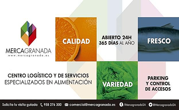 Mercagranada y sus empresas. Una pequeña ciudad