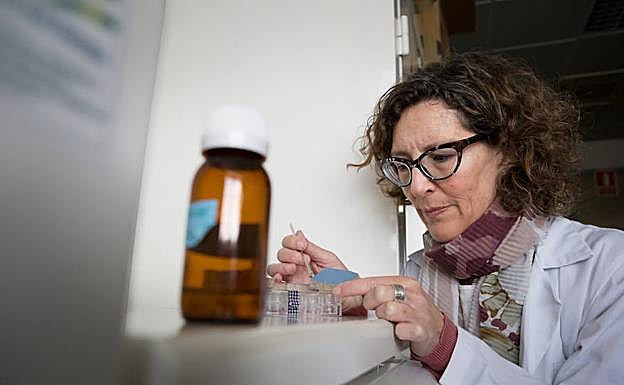 Carolina Cardell, analizando policromías en el laboratorio de la Universidad de Granada.