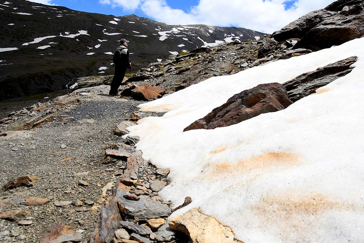 Los neveros van retirándose y dejando paso a los snderos en las altas cumbres. Casi tres meses después que en el resto de la provincia de Granada, la primavera se abre paso en las altas cumbres, un periodo efímero en el que crecen las joyas botánicas nevadenses