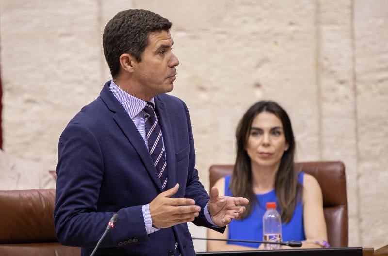 Cs considera el rechazo de Adelante y PSOE a los Presupuestos como «una enmienda a la totalidad a los andaluces»