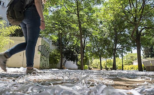 Estado del parque tres el acto de incivismo.