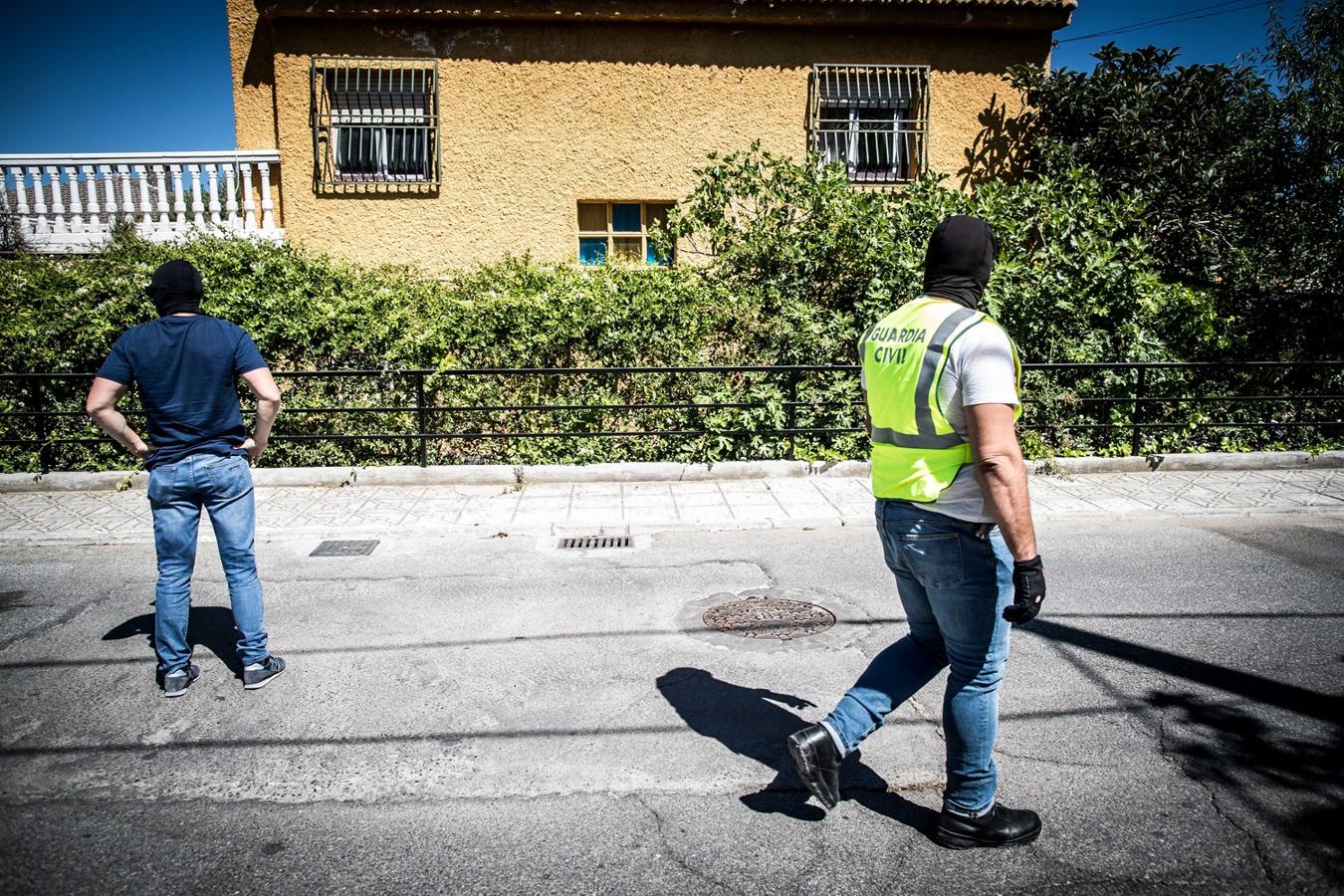 Operación de la Guardia civil contra los cultivos de marihuana
