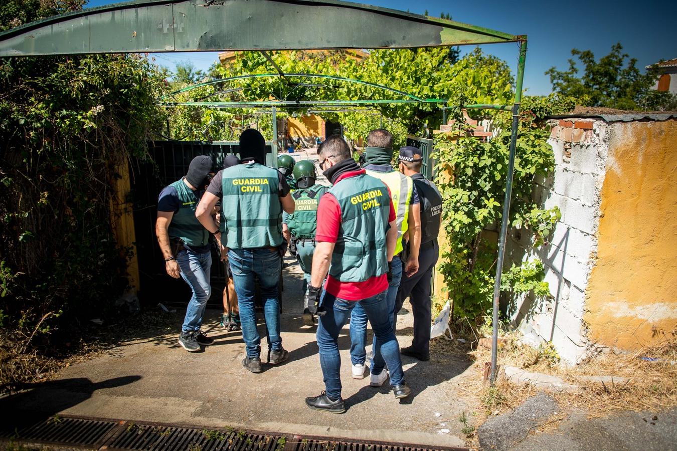 Operación de la Guardia civil contra los cultivos de marihuana