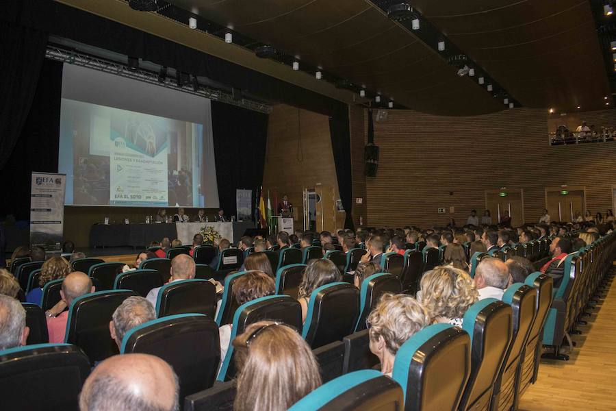 Además, ha distinguido al Ayuntamiento de Fuente Vaqueros, al Patronato de la Alhambra y a IDEAL por su suplemento AG