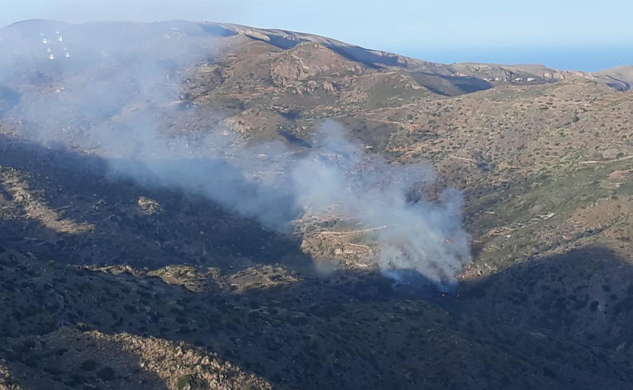 Zona afectada por el incendio originado esta tarde en Bédar.