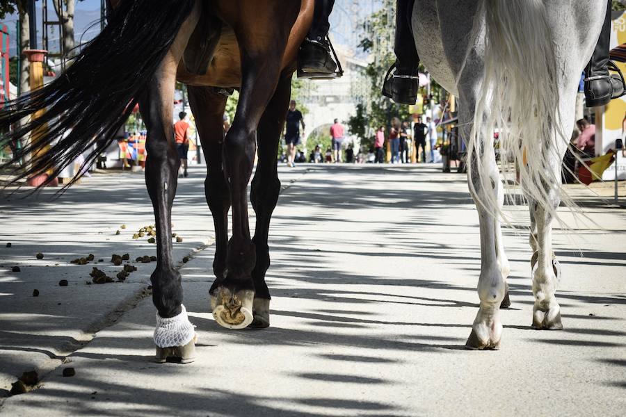 La semana del Corpus arranca con buen tiempo