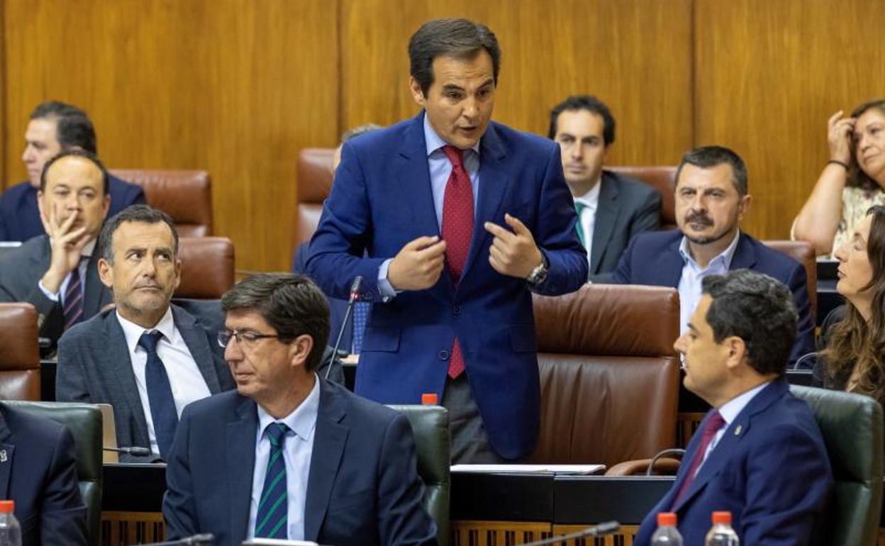 El portavoz del grupo parlamentario popular, José Antonio Nieto. 