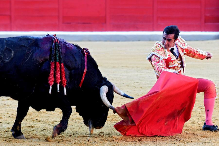 El Fandi fue arrollado de mala manera junto a las tablas porque el toro no obedeció cuando ejecutó al quiebro el tercer par de banderillas, iniciado de rodillas.. Se vivieron momentos de angustia en la Monumental de Frascuelo, pero cuando el granadino logró recomponerse volvió a la cara del astado para muletearlo de rodillas y sacar aún más toda su raza. La que le faltó al de Hermanos García Jiménez. Una vez más El Fandi estuvo poderoso y paseó oreja tras estocada entera.