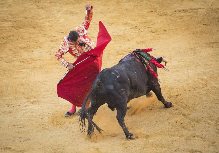 El Fandi fue arrollado de mala manera junto a las tablas porque el toro no obedeció cuando ejecuto al quiebro el tercer par de banderillas, iniciado de rodillas.. Se vivieron momentos de angustia en la Monumental de Frascuelo, pero cuando el granadino logro recomponerse volvió a la cara del astado para muletearlo de rodillas y sacar aún más toda su raza. La que le faltó al de Hermanos García Jiménez. Una vez más El Fandi estuvo poderoso y paseó oreja tras estocada entera.