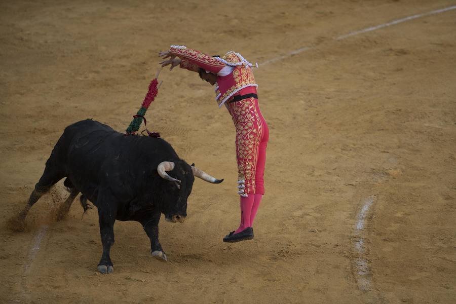 El Fandi fue arrollado de mala manera junto a las tablas porque el toro no obedeció cuando ejecuto al quiebro el tercer par de banderillas, iniciado de rodillas.. Se vivieron momentos de angustia en la Monumental de Frascuelo, pero cuando el granadino logro recomponerse volvió a la cara del astado para muletearlo de rodillas y sacar aún más toda su raza. La que le faltó al de Hermanos García Jiménez. Una vez más El Fandi estuvo poderoso y paseó oreja tras estocada entera.