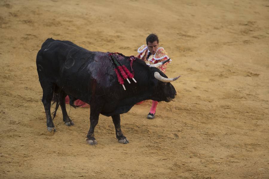 El Fandi fue arrollado de mala manera junto a las tablas porque el toro no obedeció cuando ejecuto al quiebro el tercer par de banderillas, iniciado de rodillas.. Se vivieron momentos de angustia en la Monumental de Frascuelo, pero cuando el granadino logro recomponerse volvió a la cara del astado para muletearlo de rodillas y sacar aún más toda su raza. La que le faltó al de Hermanos García Jiménez. Una vez más El Fandi estuvo poderoso y paseó oreja tras estocada entera.