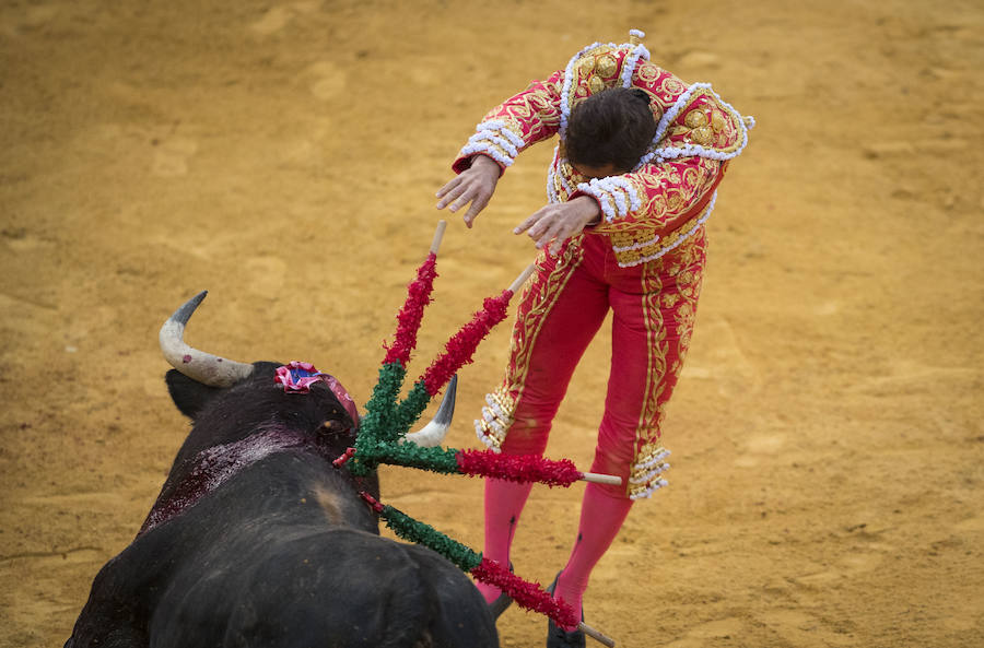 El Fandi fue arrollado de mala manera junto a las tablas porque el toro no obedeció cuando ejecuto al quiebro el tercer par de banderillas, iniciado de rodillas.. Se vivieron momentos de angustia en la Monumental de Frascuelo, pero cuando el granadino logro recomponerse volvió a la cara del astado para muletearlo de rodillas y sacar aún más toda su raza. La que le faltó al de Hermanos García Jiménez. Una vez más El Fandi estuvo poderoso y paseó oreja tras estocada entera.