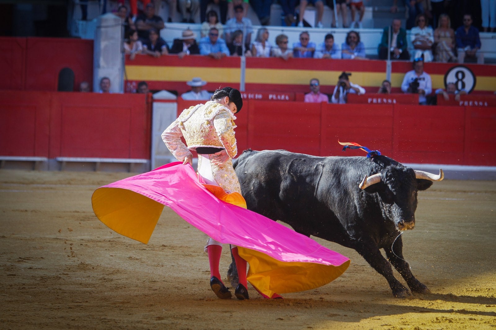 José Garrido salvó la tarde con una faena épica al cuarto, que le volteó de manera aparatosa y estuvo a punto de mandarlo a la enfermería