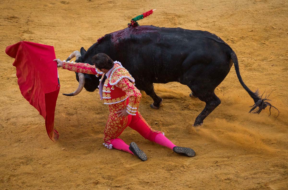 Portentosa actuación del granadino 'El Fandi0', a hombros con Julián López 'El Juli' en tarde de claroscuros de 'Morante de la Puebla'