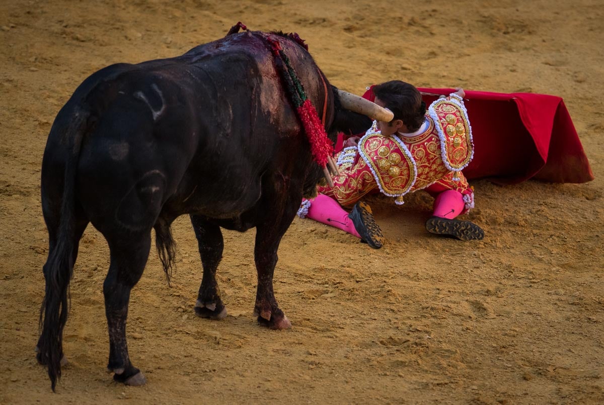 Portentosa actuación del granadino 'El Fandi0', a hombros con Julián López 'El Juli' en tarde de claroscuros de 'Morante de la Puebla'