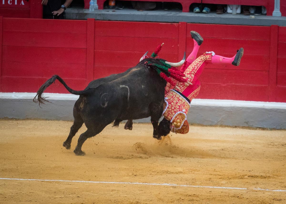 Portentosa actuación del granadino 'El Fandi0', a hombros con Julián López 'El Juli' en tarde de claroscuros de 'Morante de la Puebla'