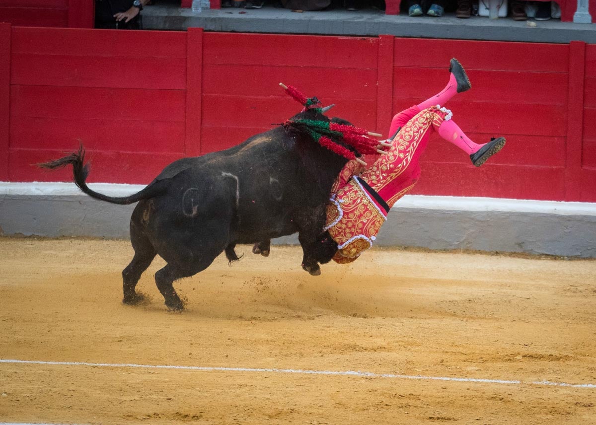 Portentosa actuación del granadino 'El Fandi0', a hombros con Julián López 'El Juli' en tarde de claroscuros de 'Morante de la Puebla'