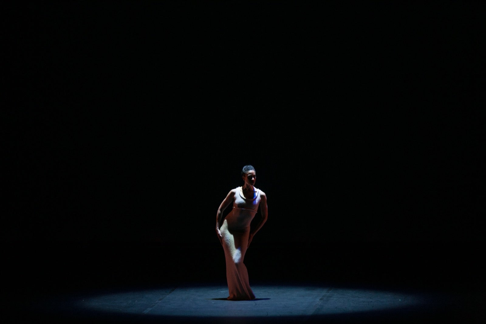 La famosa compañía de danza recordó anoche a la artista de Pensilvania con cuatro de sus más brillantes coreografías