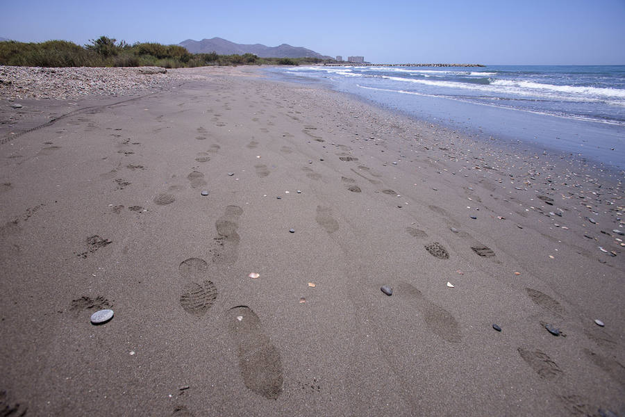 La pasada primavera había 206 partículas de microplásticos por metro cuadrado en esta playa, los expertos apuntan que son valores medio altos