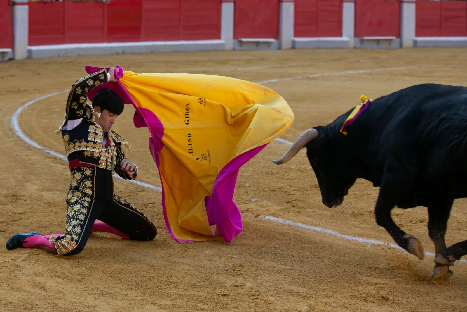 Borja Collado y Miguel Aguilar ponen broche triunfal a la feria del Corpus. El bastetano Aquilino Girón, que cortó una oreja y acreditó sobrado valor, acabó en la enfermería con una lesión en la rodilla